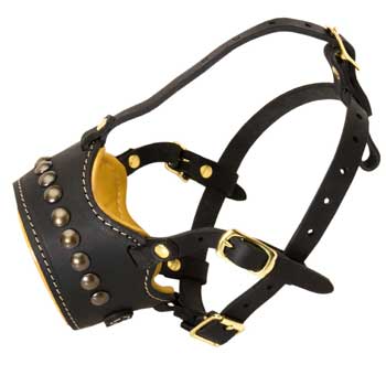 Padded Muzzle for Dog