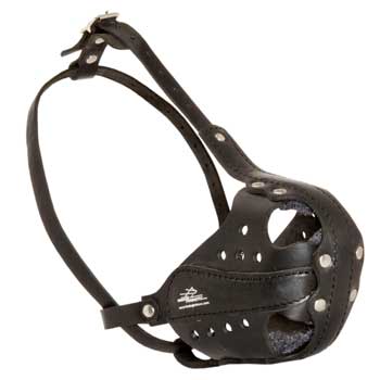 Dog Muzzle for Attack Training