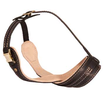 Leather Dog Muzzle for Anti-Barking Training