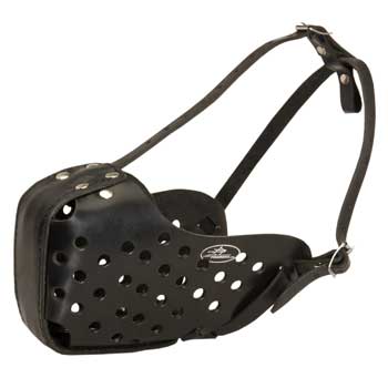 Dog Muzzle for Agitation Training