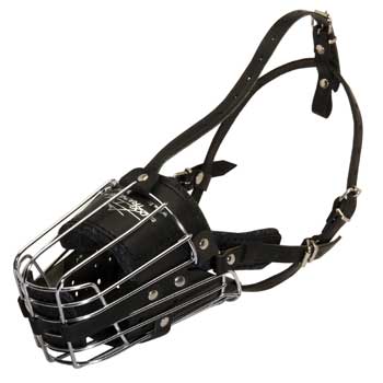 Metal Basket Dog Muzzle for Dog Walking Training