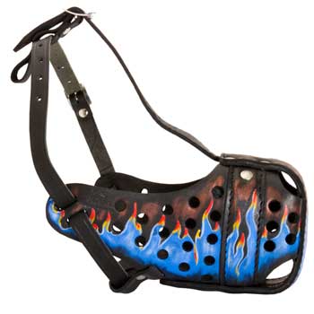 Dog Muzzle for Walking and Training