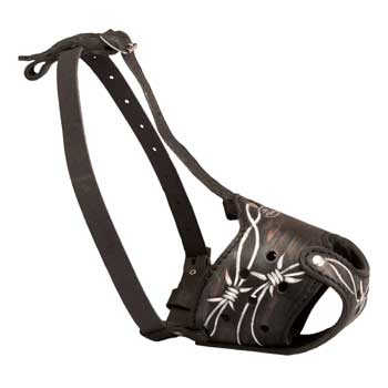 Training Muzzle for Dog