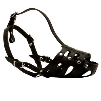 Leather Dog Well-Fitting Muzzle