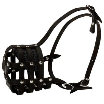 Dog Muzzle Leather Cage for Daily Walking