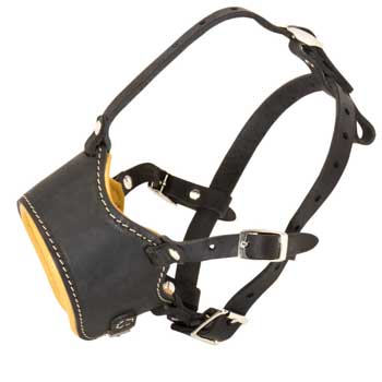 Leather Dog Muzzle for No Bark Training Walking