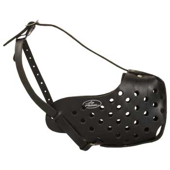 Safe Leather Muzzle for Dog Walking