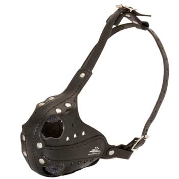 Sof Leather padded Dog Muzzle