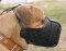 Easy Adjustable Leather Dog Muzzle for Agitation Training