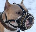 Royal Spiked and Studded Leather Dog Muzzle