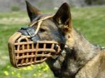 Basket-Like Dog Muzzle Leather