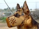 Leather Dog Muzzle for Agitation Work