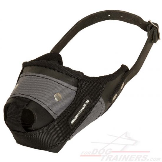 Protection Training Dog Muzzle Made of Nylon and Leather
