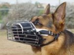 Basket Wire Dog Muzzle Padded All Over