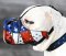 American Pride Painted Leather Dog Muzzle for Protection Training