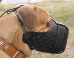 Easy Adjustable Leather Dog Muzzle for Agitation Training