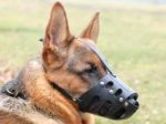 Anti Barking Leather Dog Muzzle