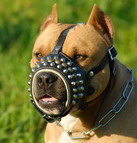 Posh Studs and Cones Handmade Leather Dog Muzzle