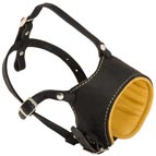 Snout Short Leather Dog Muzzle Padded with Nappa Leather