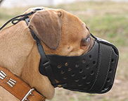 Easy Adjustable Leather Dog Muzzle for Agitation Training