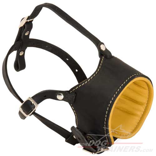 Snout Short Leather Dog Muzzle Padded with Nappa Leather