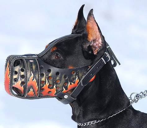 Burning Fire Hand Painted Leather Dog Muzzle for Attack Training