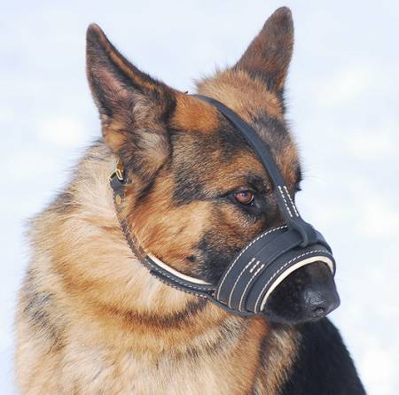 Royal Anti-Barking Leather Dog Muzzle with Nappa Leather Lining