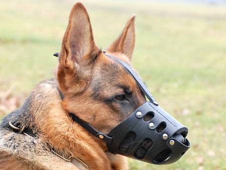 Anti Barking Leather Dog Muzzle