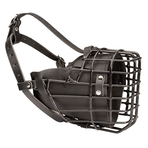 Unique Design Wire Dog Muzzle for Winter Activities