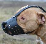 Everyday Leather Dog Muzzle for Training