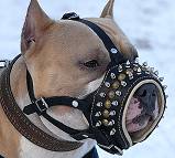 Royal Spiked and Studded Leather Dog Muzzle
